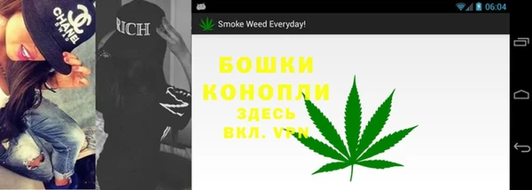 спайс Бородино
