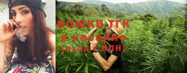 спайс Бородино