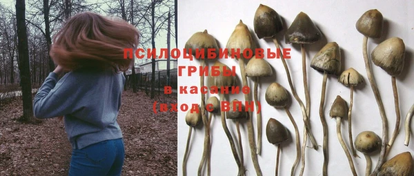 спайс Бородино