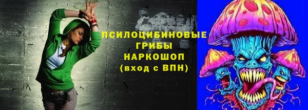 спайс Бородино