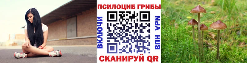 Псилоцибиновые грибы Magic Shrooms  Северск 